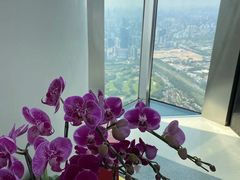 -平安金融中心云际观光层