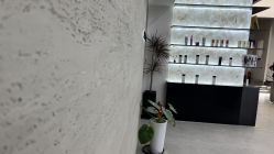 -蚂蚁造型俱乐部