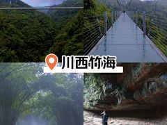 -川西竹海景区