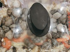 -良友·海鲜青岛菜(五四广场店)