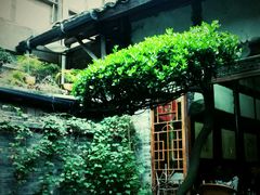 -恺庐茶园(宽窄巷子景区店)