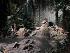 -武汉园博园(武汉自然博物馆)