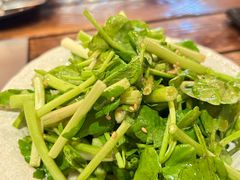 -66大阪烧烧鸟·益市家系拉面出张所