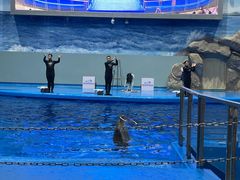 -福州罗源湾海洋世界旅游区