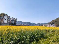 -新安江山水画廊风景区