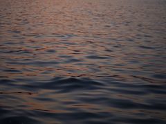 -浙江西子宾馆·牡丹厅