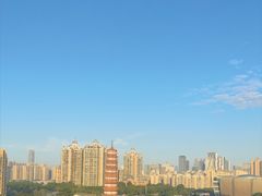-小茶闲舍·观景商务茶馆(广州塔店)