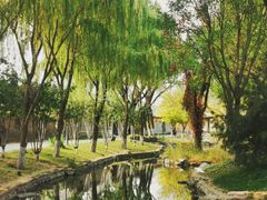 -三里河公园
