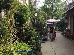 -桂林市花鸟市场