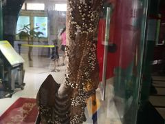 -上海昆虫博物馆