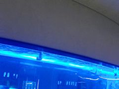 -上和臻品中国菜(花园街店)