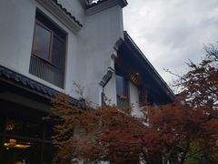 -曾福兴