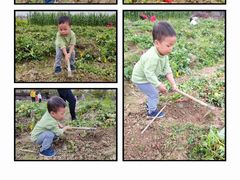 -新塘水果乐园(东洲大道店)