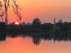 -大兴滨河森林公园