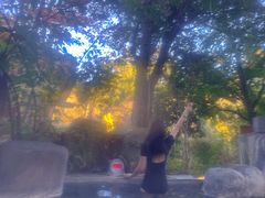 -腾冲和顺柏联酒店