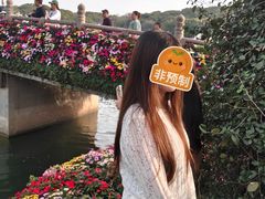 -苏州上方山国家森林公园