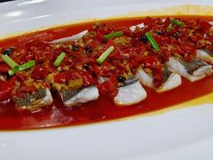 翘嘴鱼-江南荣庄