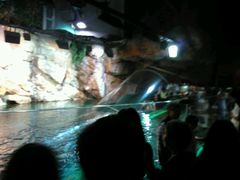 -上海海洋水族馆-停车场
