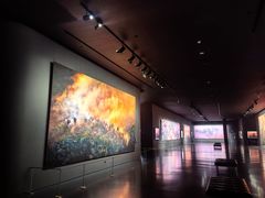 -罗红摄影艺术馆