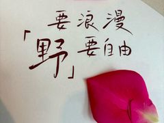 -Tomacado花厨(One ITC店)