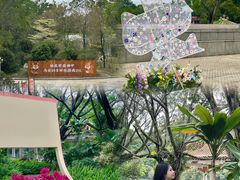 -梅州雁山湖国际花园度假区