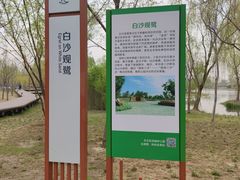 -东郊湿地公园