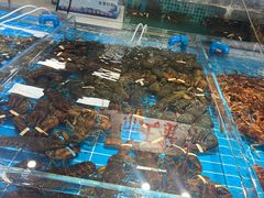 -济南海鲜大市场