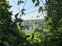 -上海月湖雕塑公园