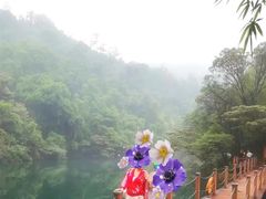 -鼎湖山风景区