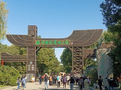 -溱湖国家湿地公园