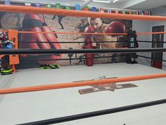 -津武堂散打搏击俱乐部(河西店)