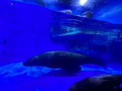 -上海海昌海洋公园-冰山北极馆