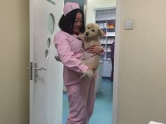 -宠颐生东兴动物医院(大悦城店)