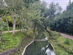 -北坞公园
