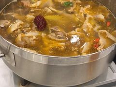 筋头巴脑筋皮清汤锅-筋头巴脑牛一锅(朝阳路总店)