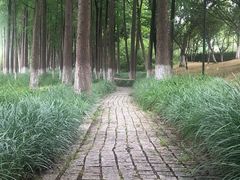 -苏州太湖湖滨国家湿地公园