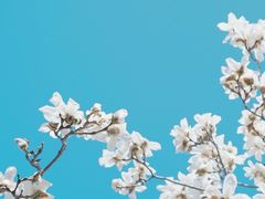 -广州珠江公园
