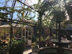 -The Grounds of Alexandria