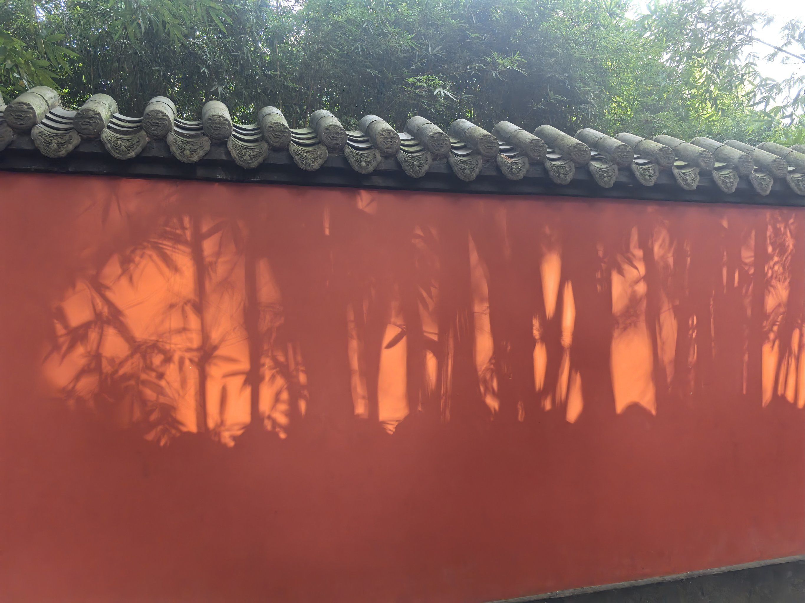 红墙绿竹真的很出片