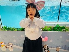 -帝企鹅自助餐厅•儿童岛•真企鹅(长隆企鹅酒店)