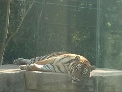 -上海动物园(地铁站)