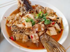-煲来饱去冷水鱼