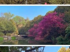 -无锡梅园公园