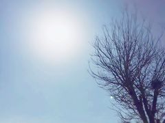 -古柏渡飞黄旅游区