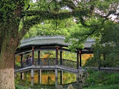 -江心屿景区