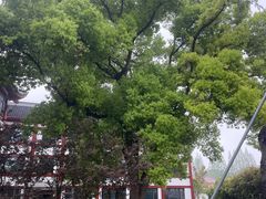 -吴兴寺