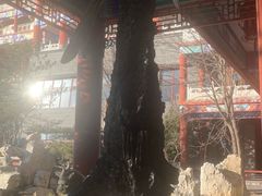 -大明幻境第一城