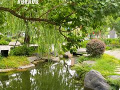 -铁像寺水街