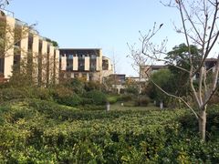 -上海崇明金茂凯悦酒店