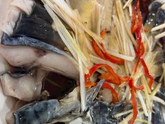 -煲来饱去冷水鱼